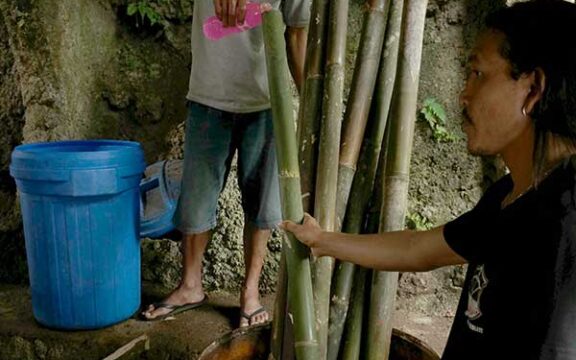 Come trattare il bamboo: VSD – Vertical Soak Diffusion