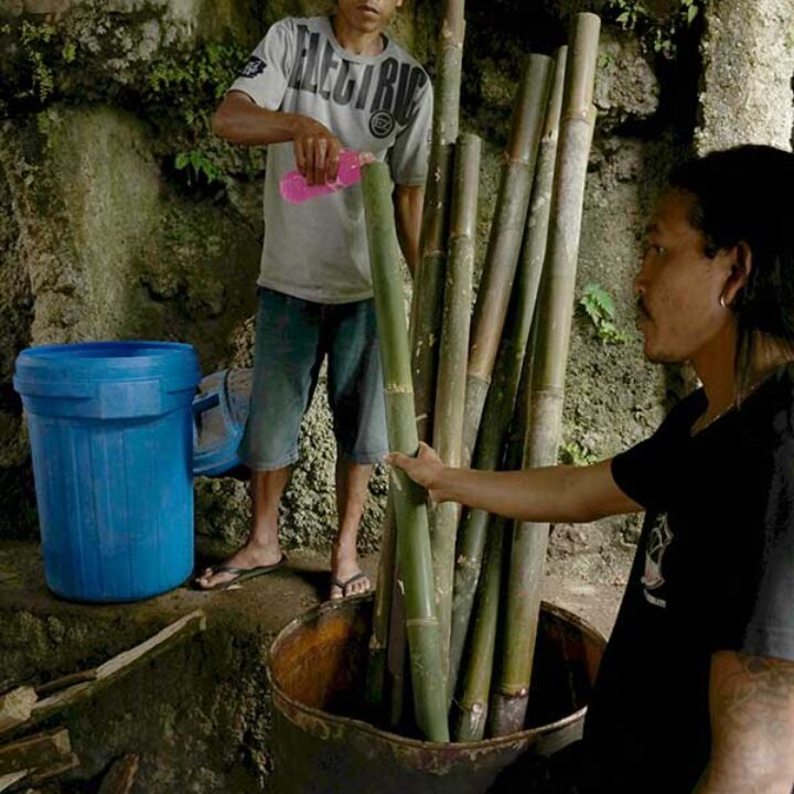 Come trattare il bamboo: VSD – Vertical Soak Diffusion