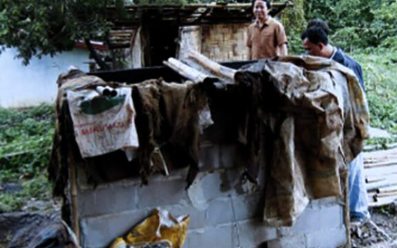 Come trattare il bambù: affumicatura