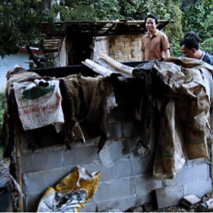 Come trattare il bambù: affumicatura