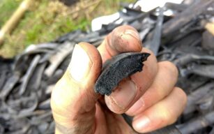 Biochar di bamboo e pirolisi con bidone di recupero