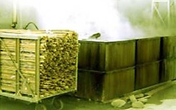 Come trattare il bambù: bollitura