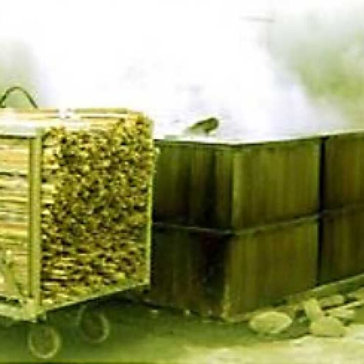 Come trattare il bambù: bollitura