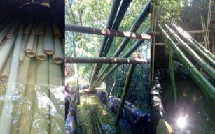 Come trattare le canne di bambu: Trattamento in immersione