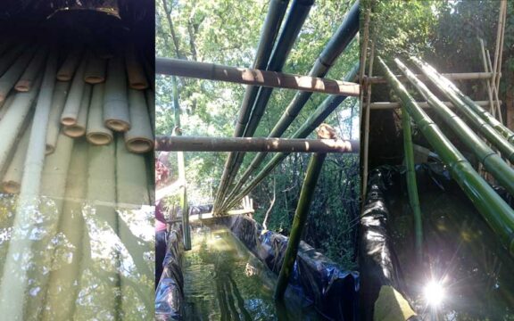 Come trattare le canne di bambu: Trattamento in immersione