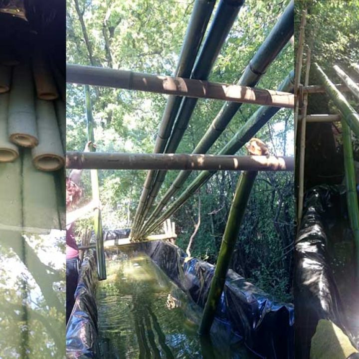 Come trattare le canne di bambu: Trattamento in immersione