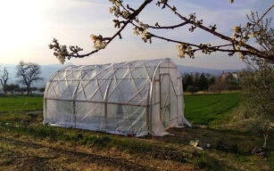 Costruzione di una serra in bamboo