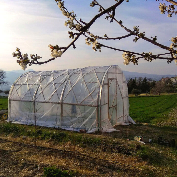 Costruzione di una serra in bamboo