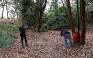 Come trattare il bamboo: Tecnica del secchio