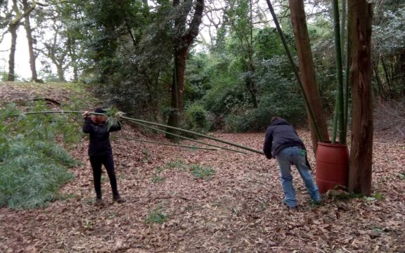 Come trattare il bamboo: Tecnica del secchio