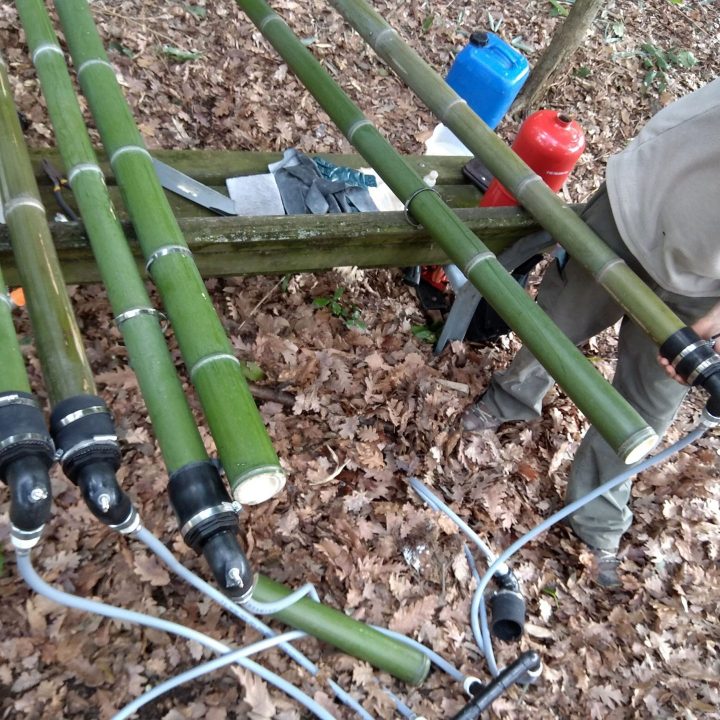 Trattamenti per il bamboo: Boucherie modificato V1.0