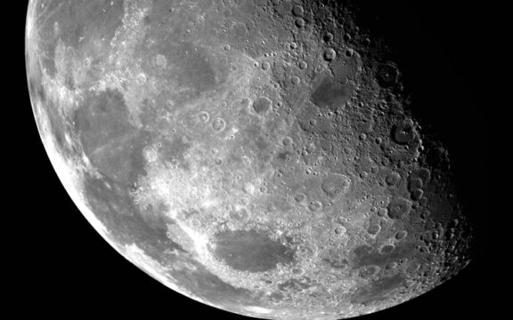 Quando tagliare le canne di bamboo