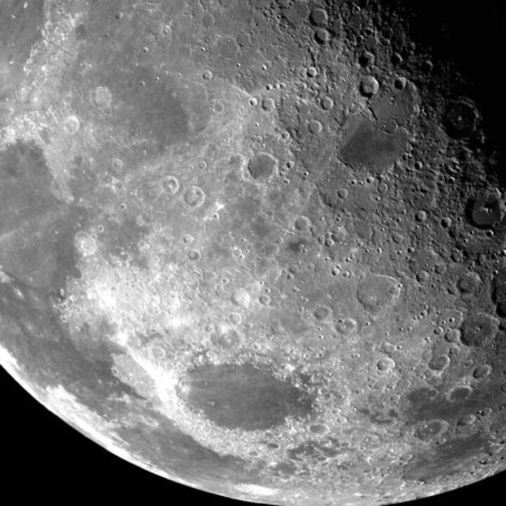 Quando tagliare le canne di bamboo