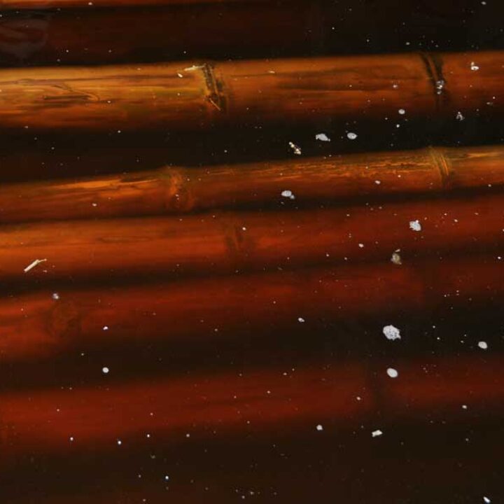 Come trattare il bambu: i tipi di soluzioni