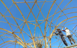 Gazebo in bamboo per piante rampicanti e gelso