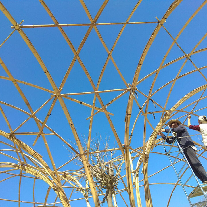 Gazebo in bamboo per piante rampicanti e gelso