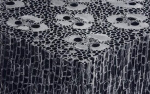 Struttura interna di una canna di bamboo