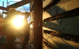 Corso bioedilizia – Paglia – Terra -Calce