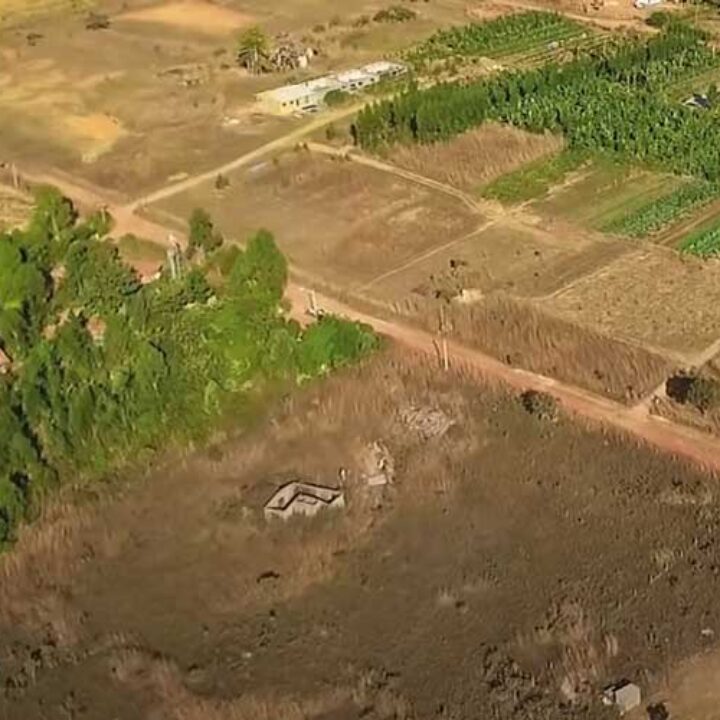 Ernst Gotsch e la sintropia