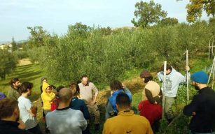 corso agricoltura sintropica con Gennaro Cardone
