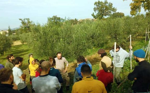 corso agricoltura sintropica con Gennaro Cardone