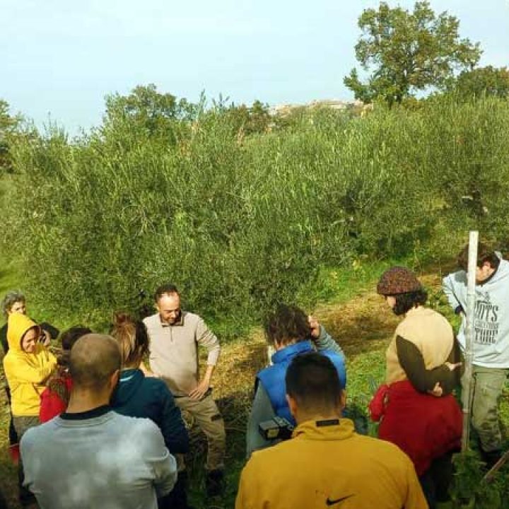 corso agricoltura sintropica con Gennaro Cardone
